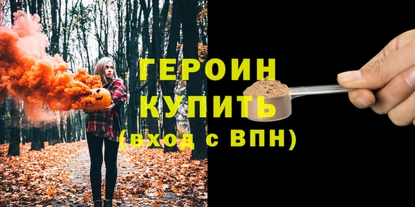 гашик Тайга