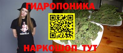 гашик Ирбит