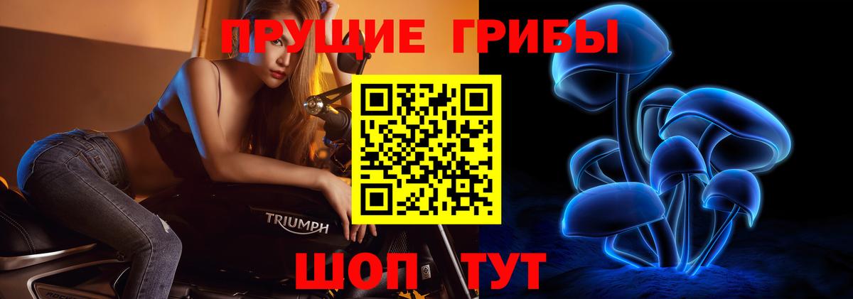 Галлюциногенные грибы MAGIC MUSHROOMS  Мценск 