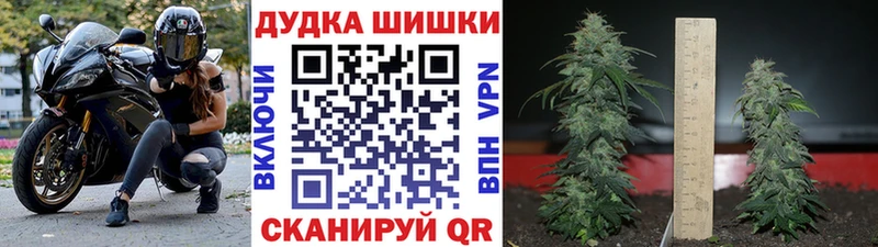 MEGA сайт  Мценск  Марихуана семена 